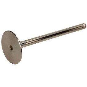 Einlaßventil PREN001-S-0-D
