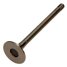 Comprar Válvula de escape de AMP PVWG087-A-0-N a bajo precio de 24,28 €
