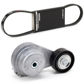 Achetez des Jeu de courroies trapézoïdales à nervures RIDEX 542R0826 à prix pour 34,94 €