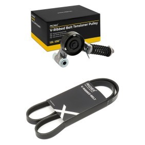 Comprar Juego de correas trapeciales poli V de RIDEX 542R0966 a bajo precio de 59,23 €