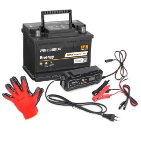 Achetez des Batterie RIDEX 1S0300 à prix pour 85,06 €