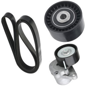 Achetez des Kit de courroie d'accessoire de chez RIDEX en ligne pour Master III Van (FV) à prix modérés