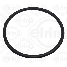 Dichtung, Thermostat 755.770