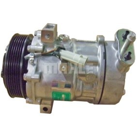 Acquista Compressore aria condizionata da BV PSH 090.475.003.310 a buon mercato per soli 528,89 €