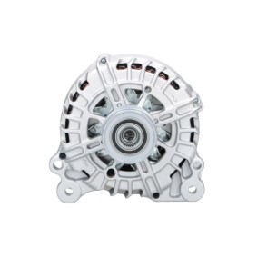 Lichtmaschine von BV PSH