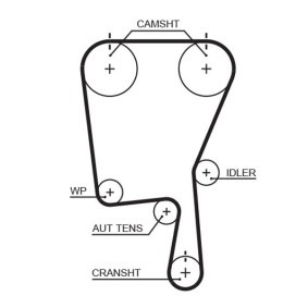 Keilrippenriemen K060905RPM