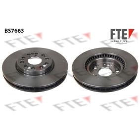Bremsscheibe von FTE