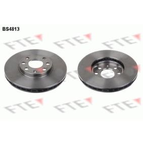 Bremsscheibe von FTE