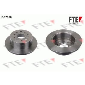 Bremsscheibe von FTE