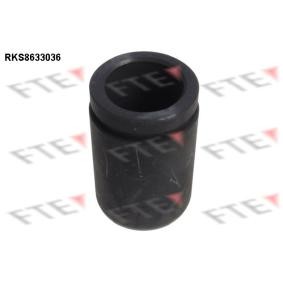 Comprar Émbolo, pinza del freno de FTE 9313043 a bajo precio de 20,65 €
