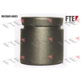 Comprar Émbolo, pinza del freno de FTE 9313125 a bajo precio de 17,68 €