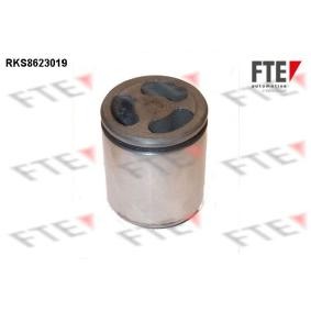 Kolben, Bremssattel für IVECO von FTE