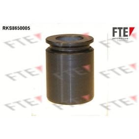 Køb Stempel, bremsekaliper af FTE 9313454 til den lave pris 162,26 DKK
