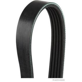 Acquista Cinghia servizi da HERTH+BUSS JAKOPARTS J1051398 a buon mercato per soli 9,62 €
