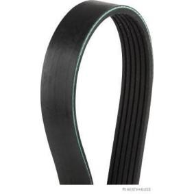 Acquista Cinghia servizi da HERTH+BUSS JAKOPARTS J1060850 a buon mercato per soli 11,03 €