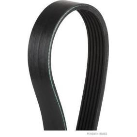 Acquista Cinghia servizi da HERTH+BUSS JAKOPARTS J1061245 a buon mercato per soli 14,21 €