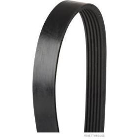 Acquista Cinghia servizi da HERTH+BUSS JAKOPARTS J1061548 a buon mercato per soli 16,36 €