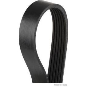 Achetez des Courroie Poly-V HERTH+BUSS JAKOPARTS J1061580 à prix pour 12,38 €