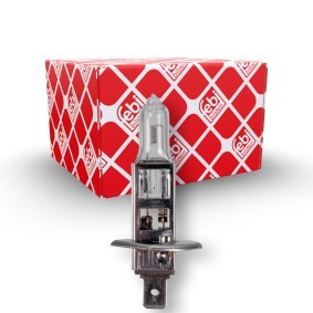 Glühlampe, Nebelscheinwerfer von FEBI BILSTEIN 173283