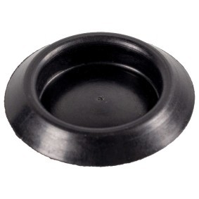 Verschluß, Waschwasserbehälter 175466 für RENAULT TRUCKS