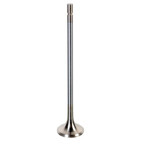 Comprar Válvula de escape de FEBI BILSTEIN 175553 a bajo precio de 18,78 €