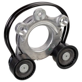 Comprar Tensor de correa poli V de FEBI BILSTEIN 175858 a bajo precio de 184,49 €