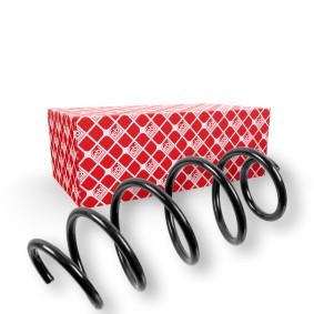 Köp Spiralfjäder av FEBI BILSTEIN 176334 till det låga priset 641,26 kr