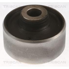 Acquista Supporto braccio oscillante da TRISCAN 8500 108005 a buon mercato per soli 28,50 €