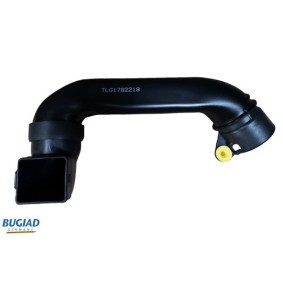 Comprar Tubo flexible de aspiración, filtro de aire de BUGIAD 82218 a bajo precio de 53,37 €