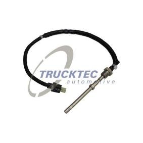 Abgastemperatursensor 02.17.156