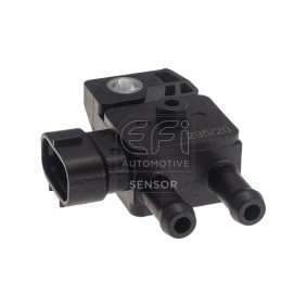 Differenzdrucksensor von EFI AUTOMOTIVE
