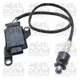 NOx-Sensor, NOx-Katalysator von MEAT & DORIA