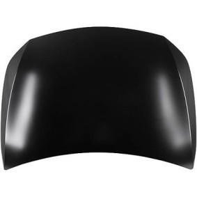 Motorhaube 1683101
