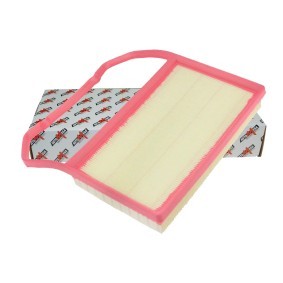Achetez des Filtre à air AUTOMEGA 246783310 à prix pour 14,79 €