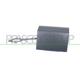 Klappe, Abschlepphaken BM8291286