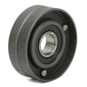 Compre Polea tensora, correa poli V de MASTER-SPORT online para 323 C IV (BG) a precios moderados