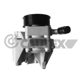 Achetez des Pompe de direction assistée CAUTEX 768326 à prix pour 213,84 €