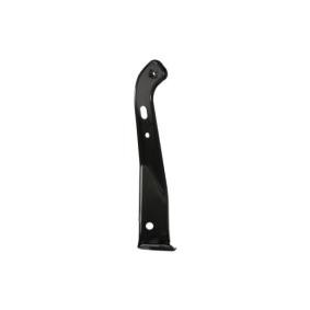 Halter, Kotflügel 6504-02-2589412P