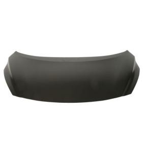 Motorhaube 6803-00-1611280P