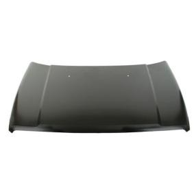 Motorhaube 6803-00-3214280P