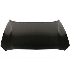 Motorhaube 6803-00-9024280AP