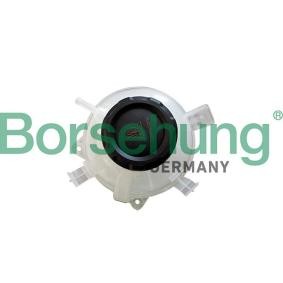 Ausgleichsbehälter von Borsehung