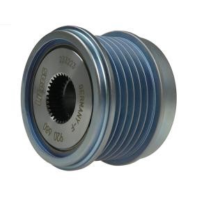 Comprar Rueda libre de alternador de AS-PL AFP0119(LITENS) a bajo precio de 95,42 €