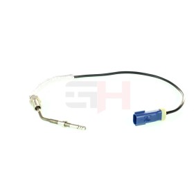 Abgastemperatursensor von GH