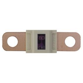 Achetez des Fusible RESTAGRAF 17135 à prix pour 15,08 €