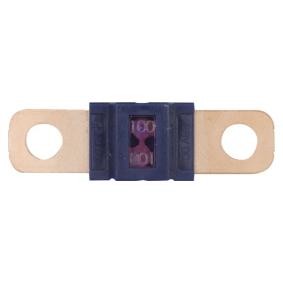 Achetez des Fusible RESTAGRAF 17136 à prix pour 14,01 €