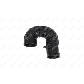 Acquista Tubo aspirazione filtro aria da IBRAS 14965 a buon mercato per soli 27,11 €