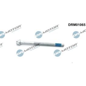 Schraube, Einspritzdüsenhalter DRM01065