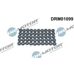 Achetez des Joint d'étanchéité, boulon de couvercle de culasse DR.MOTOR AUTOMOTIVE DRM01099 à prix pour 53,88 €