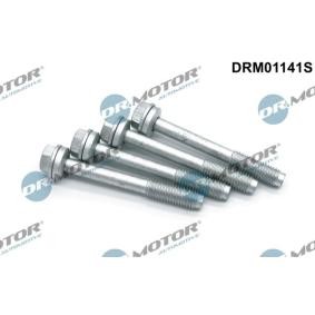 Achetez des Vis, support pour contrôleur d'injecteurs DR.MOTOR AUTOMOTIVE DRM01141S à prix pour 33,28 €